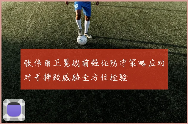 张伟丽卫冕战前强化防守策略应对对手摔跤威胁全方位检验